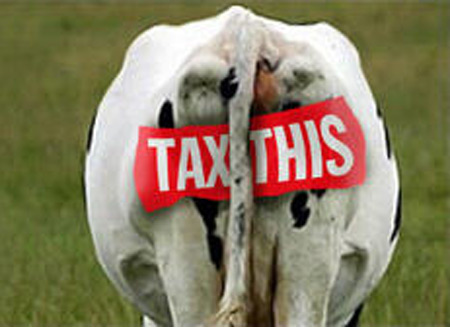 tax-this-cow1
